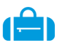 seguros para bolsos