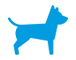 SEGURO PARA MASCOTAS