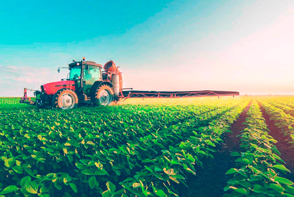 seguro agropecuarios 
